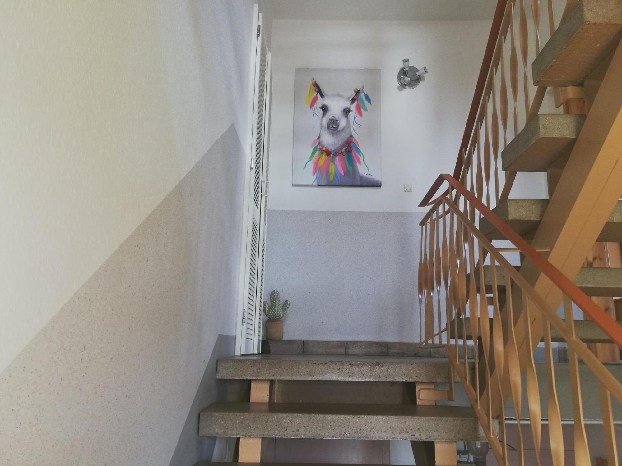Apartment With Panoramic View ブロターオーデ エクステリア 写真